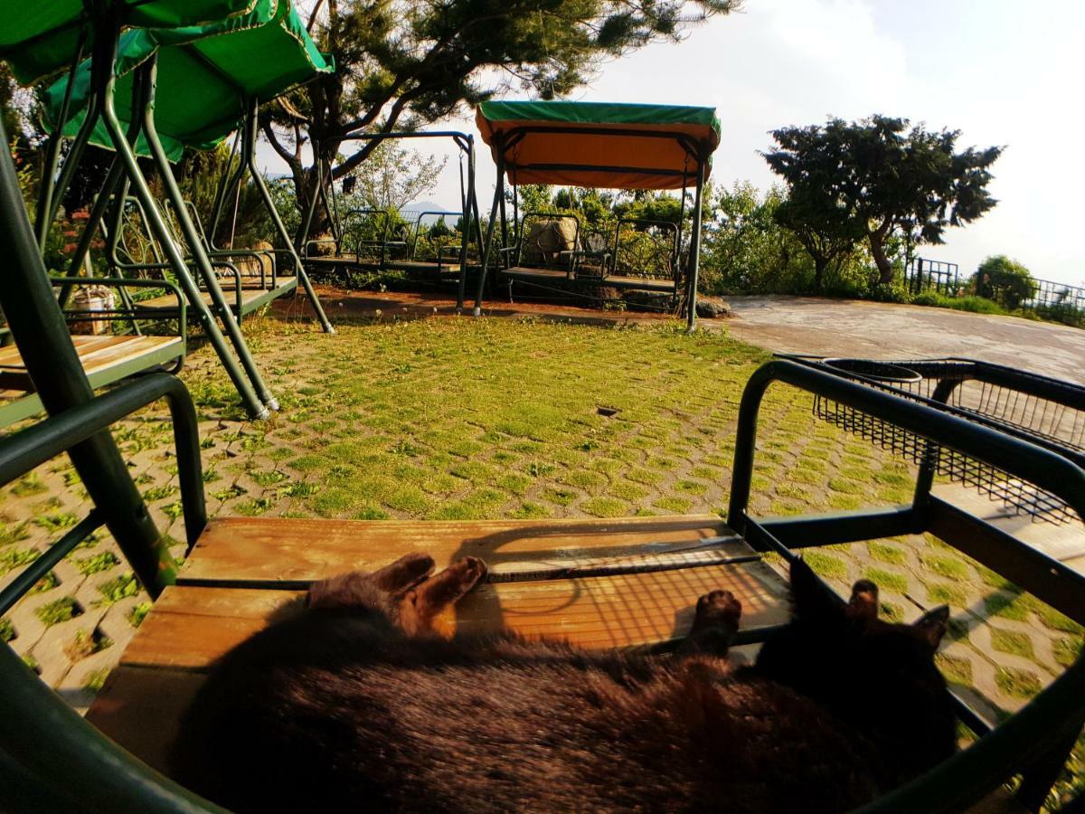 Shan Shui-Yuan Vege Guest House Ren'ai Eksteriør billede